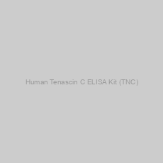 Image of Human Tenascin C ELISA Kit (TNC)